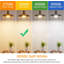 Ampoule DEL A19, équivalent 60 W, blanc chaud 3000 K, non dimmable, culot E26, lot de 12-131272874
