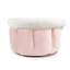 Tasse pour chien Tucker Murphy Pet ™-429694445-437913269