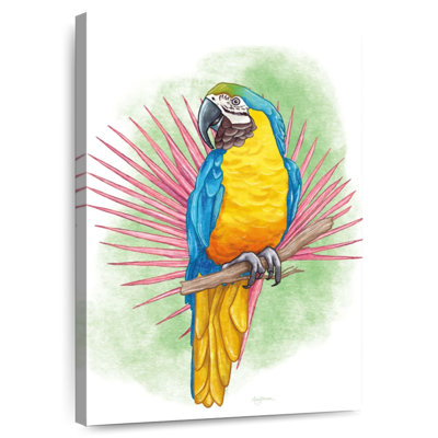 Flair arctique tropical Brampt
