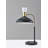 Rotisha Metal Desk Lamp