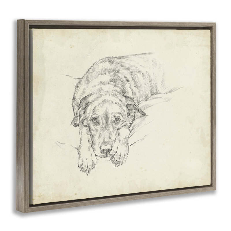Art mural sur toile flottante, "Antique Dog Gazing Up", par Ethan Harper, H 25 po x l 31 po, Cadre flottant orme Montalcino