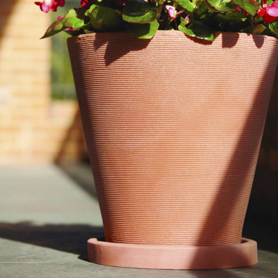 Saucer Plant Stand