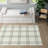 Lucian Plaid Indoor Rug-1694349680
