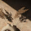 Textures Collection Industrial Distressed Plain Metallic Elements Finish Wallpaper Roll-1094698785
