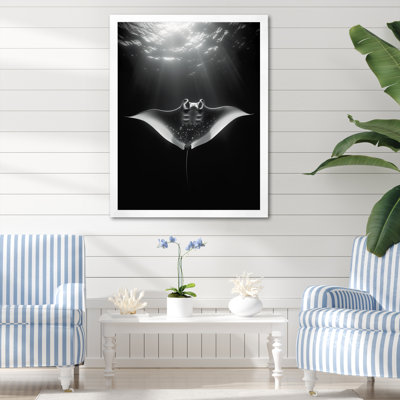 Reproduction d'art sur toile Giant Oceanic Manta