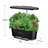 BENEHORTI Hydroponic Unit with Seeds Included