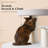 Modern 65''H Extra Large Multi-Function Cat Tree for Big Cats & MaineCoon-115842960