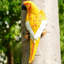 Ceramic Garden Statue-1075531160