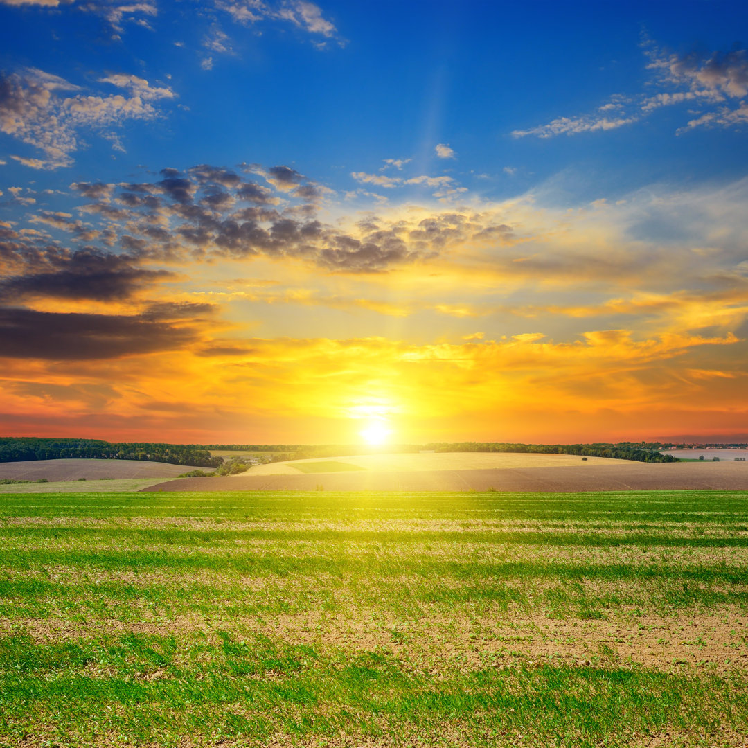 Sonnenaufgang und blauer Himmel - Leinwandfoto im Wickel