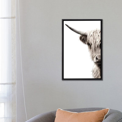 " Highland Cattle " by Danita Delimont