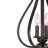 Macalla 3-Light Dimmable Teardrop Lantern Chandelier -1454034