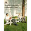 Chaise de plage pliante