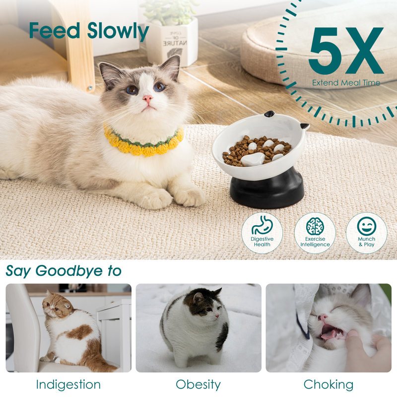 Slow Feeder, Black/White