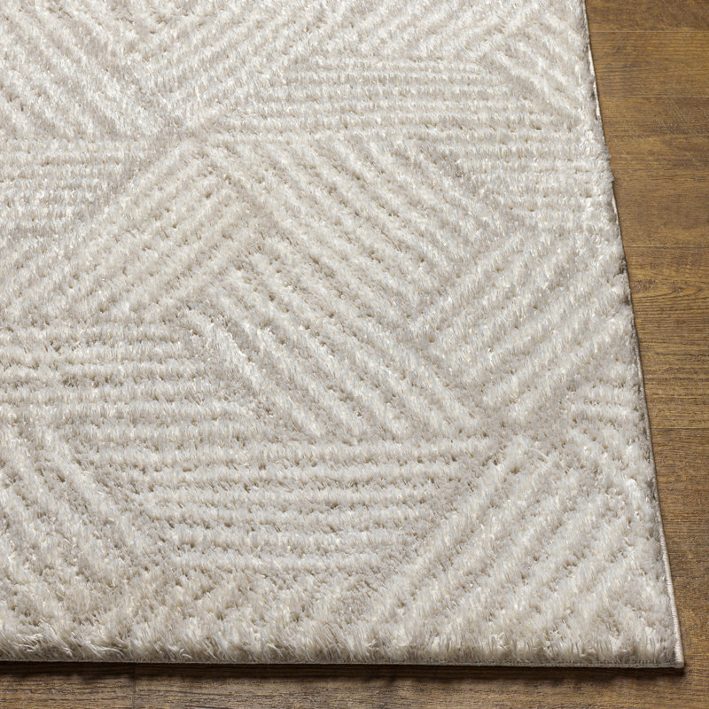 Tapis beige / crème en polyester tissé à la machine Rehoboth, Rectangle 5 pi 3 po x 7 pi