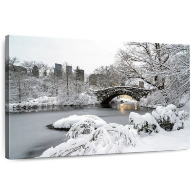 Nicci NYC Central Park Winter