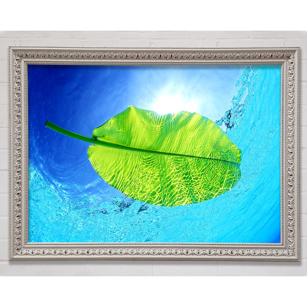 Blue Waters Of A Green Leaf - Einzelner Bilderrahmen Kunstdrucke