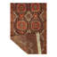 Oriental Area Rug in Brown
