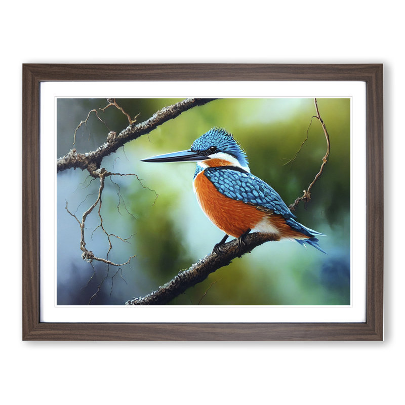An Effervescent Kingfisher Bird - Framed Print, Walnut, 25cm H x 34cm W x 2cm D