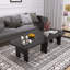 Ensemble de tables basses gigognes Modern Modern