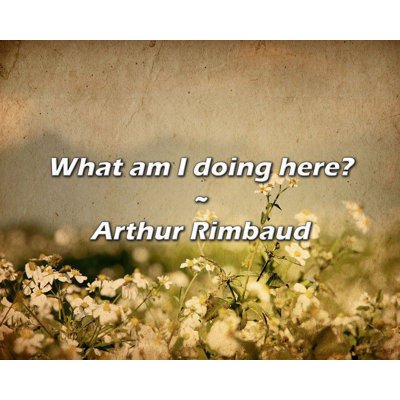 Arthur Rimbaud Quote: What am I doing here?