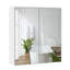  Surface Mount Mirror Cabinet