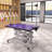 42.5INCH HYDRAULIC PET GROOMING TABLE WITH "H" ARM PURPLE-118534840