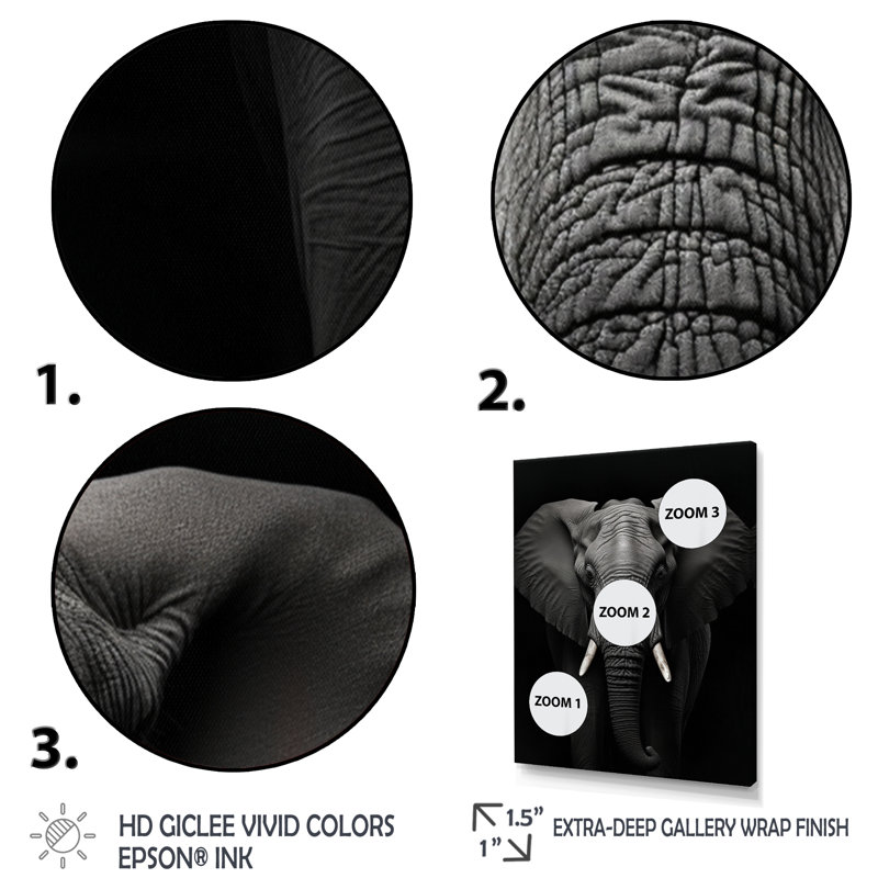 Éléphant noir et blanc - Photo II, Cadre flottant noir, H 32 po x l 16 po x P 1 po