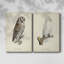 French Owls III - Toile tendue avec châssis de qualité supérieure - Prêt à être accroché