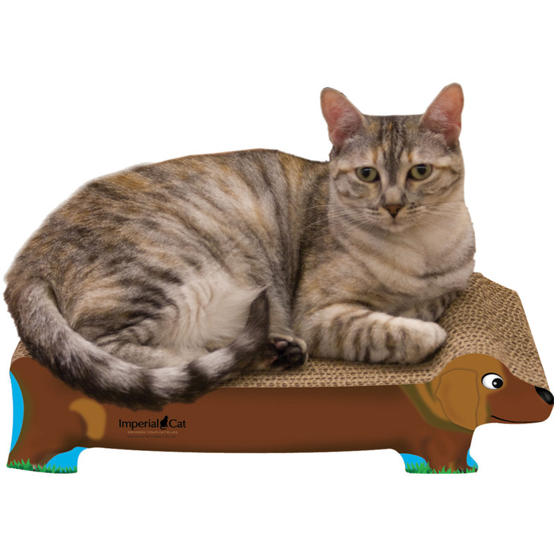 Grattoir petit chien / chat Chou, Teckel brun, Oui