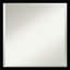 Anastasas Flat Mirror-1366974073