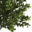 Plante à feuillage artificiel 15 po