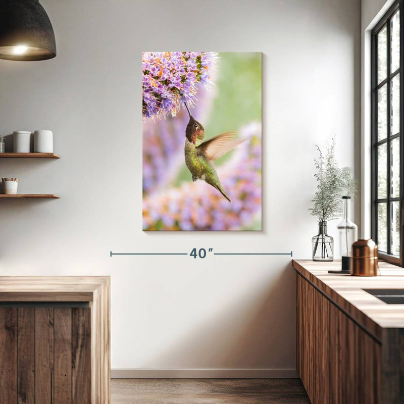 Brampt nourrissant le colibri Anna, H 39 po x l 26 po
