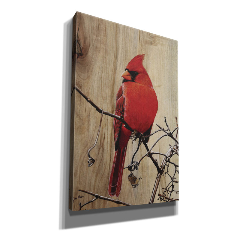 "Epic Graffiti" Regal Cardinal "par Jim Brune, art mural sur toile, 12 po x 18 po, H 18 po x l 12 po