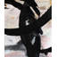 Softness-719585579-719585580-719585569