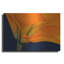 «Lily Dressed In Orange» par Pamela Plummer-1749955048