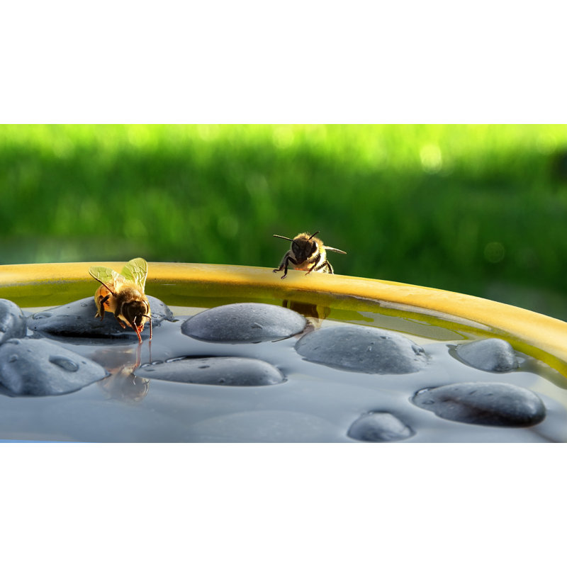 Bee and Butterfly Bath