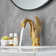Single-Hole Single-handle Bathroom Faucet with Drain Assembly