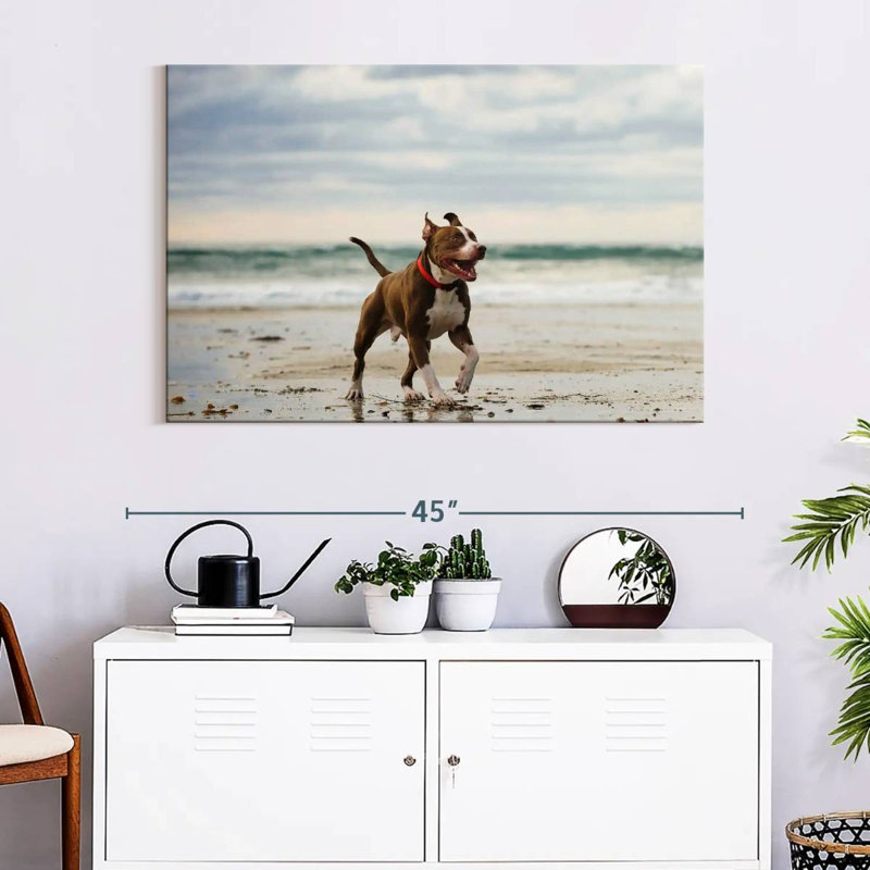 Brampt Pit Bull On Beach, 26" H x 39" W