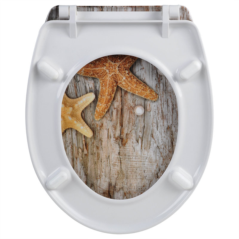 Soft Close Elongated Standard Toilet Seat