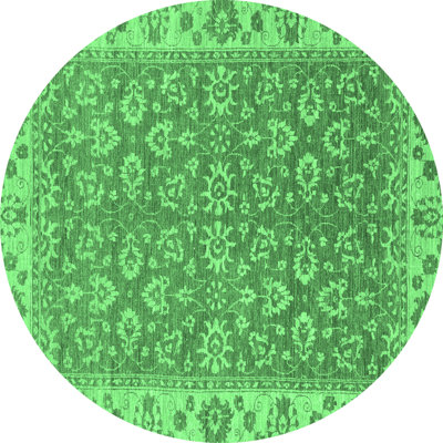 Washable Oriental Indoor Rug