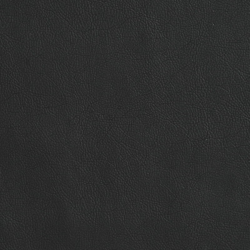 Emu lisse, Gris charbon