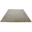Oriental Area Rug in Ivory