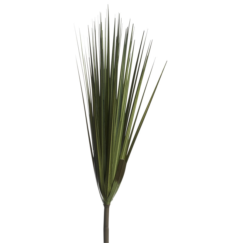 Herbe sauvage 30 po