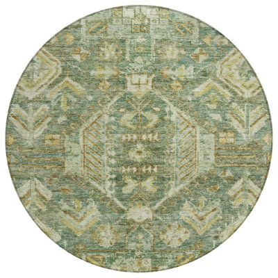 Machine Washable Indoor/Outdoor Jadiel ACN2356 Traditional Rug