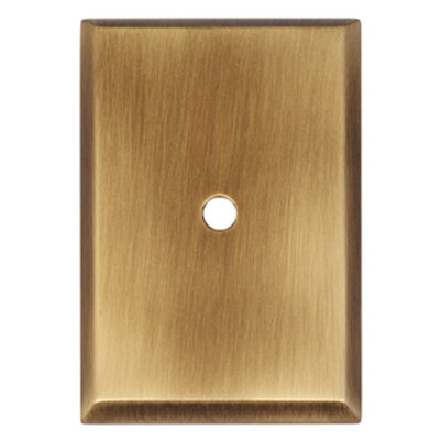 2.63" Back Plate