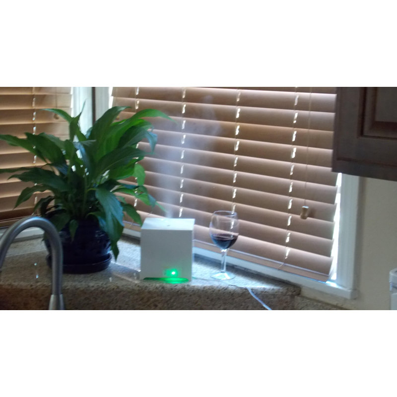 Canary Products 0.08 Gallons Warm Mist Ultrasonic Console Humidifier for 150 Cubic Feet