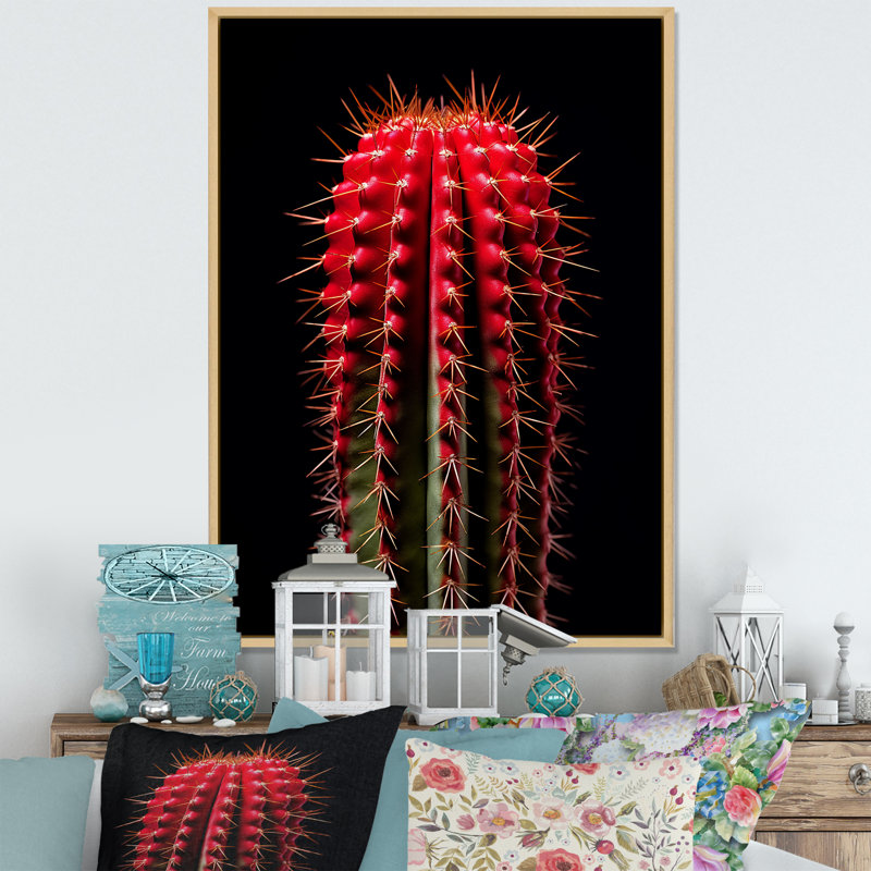 Cactus monolithe marron rouge et noir - décoration murale cactus, Cadre naturel flottant, H 40 po x l 30 po x P 1,5 po