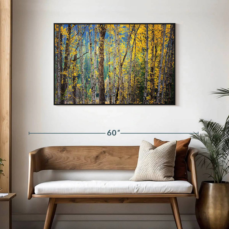 Kootenay Fall II, Cadre flottant noir, 43 po x 29 po
