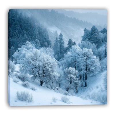Frosted Hillside Trees Wrapped Canvas Wall Art