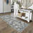 Deryan Oriental Indoor Rug